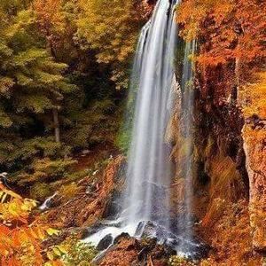 Meet your Posher, Merlyn